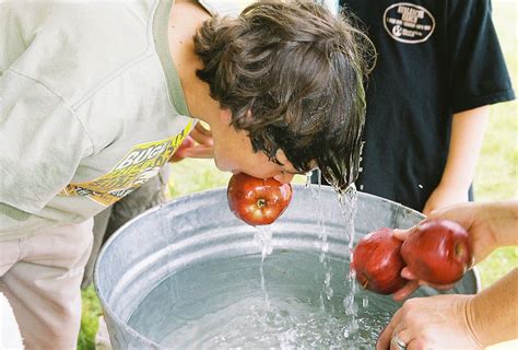 bobbing the apples|bobbing for apples meaning.